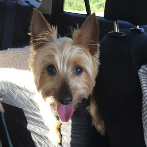 Meet your Posher, Danielle